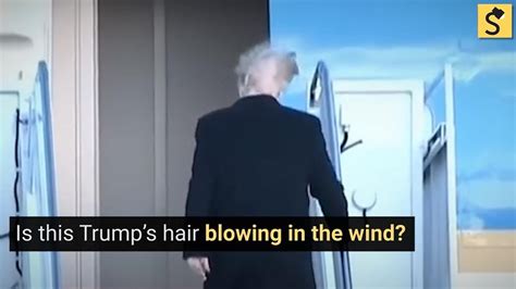 snopescom   trumps hair blowing   wind youtube