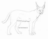 Caracal Coloring Pages Cat Lines Draw Colouring Deviantart Use Popular sketch template