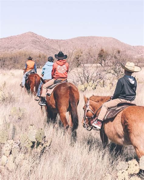 horseback riding  arizona    state