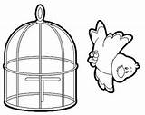 Cage Coloring Bird House Animal Nest 39s Worksheets Preschool Pages Getcolorings Printable Aquarium Col sketch template