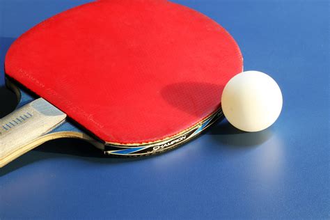 clean ping pong paddle   ways avoidance indoortion