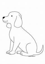 Chiot Coloriage Perros Animaux Gratis Cachorro Animales Coloriages sketch template