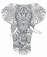 Coloring Pages Elephant Printable Complex Mandala Animal Head Adults Adult Getcolorings Color Elephants Getdrawings El Colorings sketch template