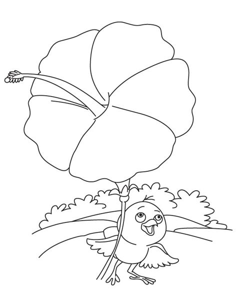 hibiscus umbrella  bird coloring page   hibiscus