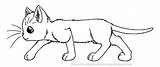 Wildpathofshadowclan Warrior Lineart Thunderclan Cats Deviantart Fan Wiki Blanks Character Group Clans sketch template