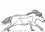 Coloring Horse Miniature Pages Runs sketch template