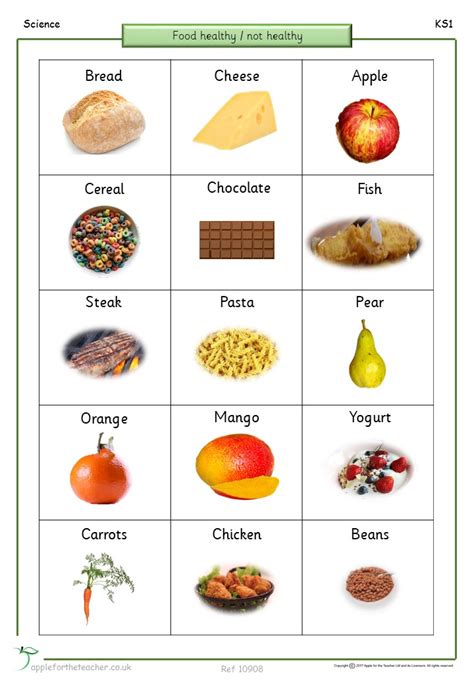 food diary worksheet healthy eating apple   teacher