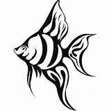 Fish Tropical Coloring Realistic Pages Drawing Clipart Sea Wall Decal Color Drawings Under Ocean Silhouette Clip Angel Angelfish These Simple sketch template