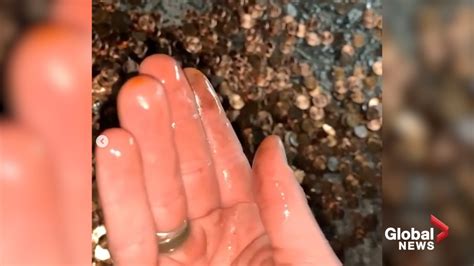 man gets final pay in oil covered pennies after quitting ‘toxic job