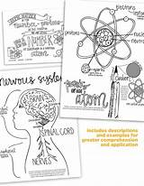 Science Cycle Coloring Pages Cc Sold Etsy sketch template