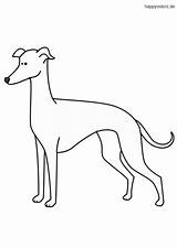 Windhund Hund Hunde Ausmalbild sketch template