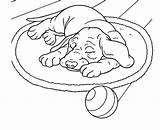 Perros Perro Dibujo Durmiendo Cachorro Cani Colorir Tapete Dormindo Chiens Dormir Perritos Muerto Deitado Colorea Duerme Cachorros Animaux Dort Realiste sketch template