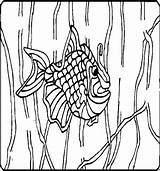 Schuppen Fisch Backofen Kuchen Malvorlage sketch template