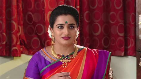 Watch Karthika Deepam Tv Serial Episode 445 Soundarya S