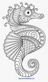 Coloring Seahorse Para Colorear Mandala Mar Pages Caballito Adults Pngitem sketch template