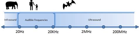 ultrasonic sound  infrasonic sound