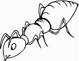 Ants Furnica Hormiga Hormigas Colorat Sheet Formiga Colorear Colouring Planse Desene Myre Tegninger Iluminar Formica Webstockreview Colorine Insecte Formiche Bestcoloringpagesforkids sketch template