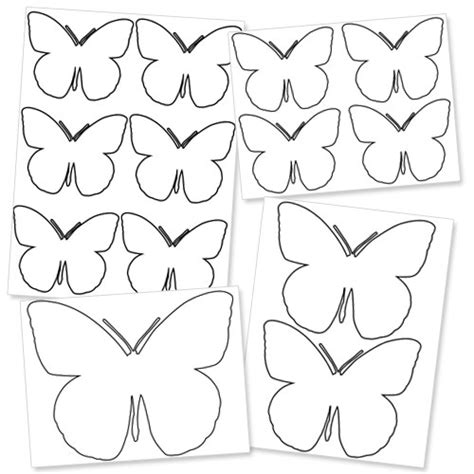 butterfly template  printable butterfly outlines   project
