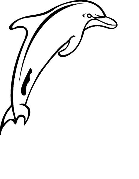 coloring page dolphin coloring pages