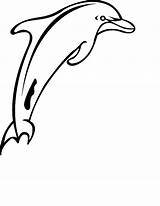 Dolfijnen Kleurplaten Dolfijn sketch template