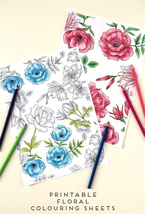 floral printable colouring sheets  printable coloring