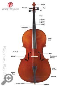 parts   cello diagram wiring diagram