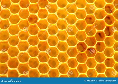 natuurlijke honingraat stock foto image  patroon beroep