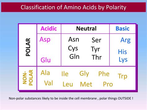 amino acid  protein chemistry powerpoint