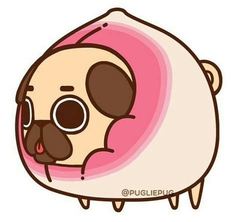 pin  pugliepug