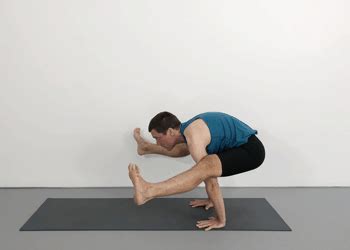 tittibhasana   poses weekly advanced class  yoga selection