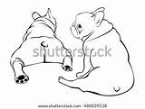 Frenchie Coloring Pages Template sketch template