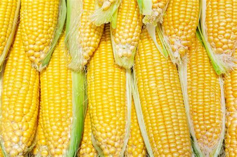 buy fresh fresh yellow corn   chicago  delivery myvalue