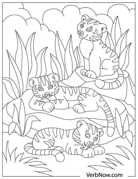 tiger coloring pages    verbnow
