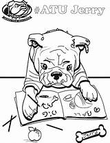 Coloring Bulldog Jerry Sheet Pages Available sketch template