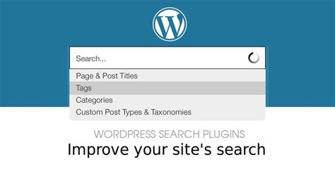 top  wordpress search plugins  improve  sites search sanwebe