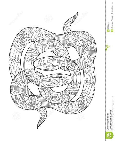 snake coloring book  adults vector stock vector illustration