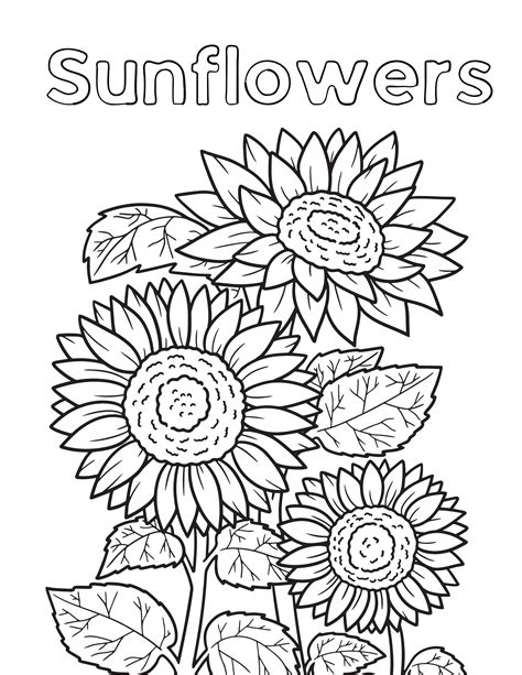 sunflower coloring pages  adults  kids