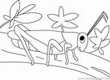 Grasshopper Coloring Pages Kids Preschool Colouring Printable Walking Preschoolcrafts Color Online Animals Kindergarten Insects sketch template