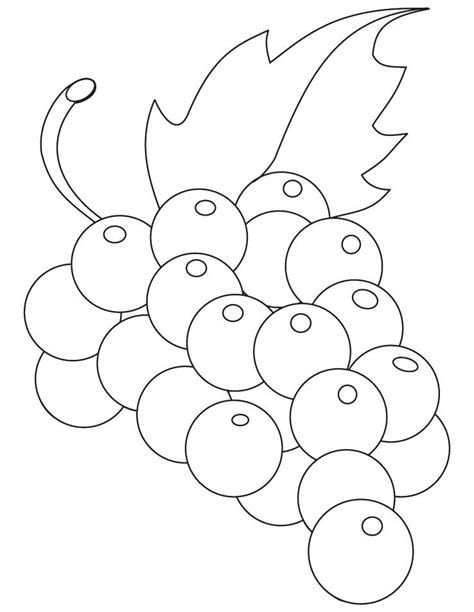 grape vines drawing  getdrawings