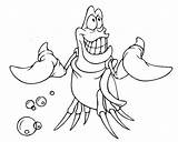Sebastian Crab Mewarnai Putri Duyung Ariel Flounder Getcolorings sketch template