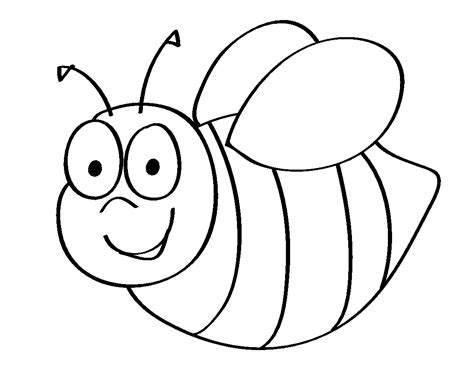 bee coloring pages kindergartenpng  bee bee bumblebee