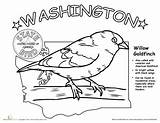 Washington State Bird Worksheets Science Coloring Life Education Worksheet Choose Board Pages Sheets sketch template