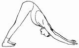 Mukha Svanasana Adho Yoga Routine Travellers Sweet Short Poses Lengthen Hips Any Body sketch template