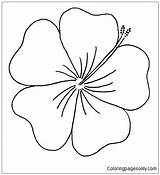 Moana Hibiscus Coloring Pages Disney Printable Color Online Print Coloringpagesonly sketch template