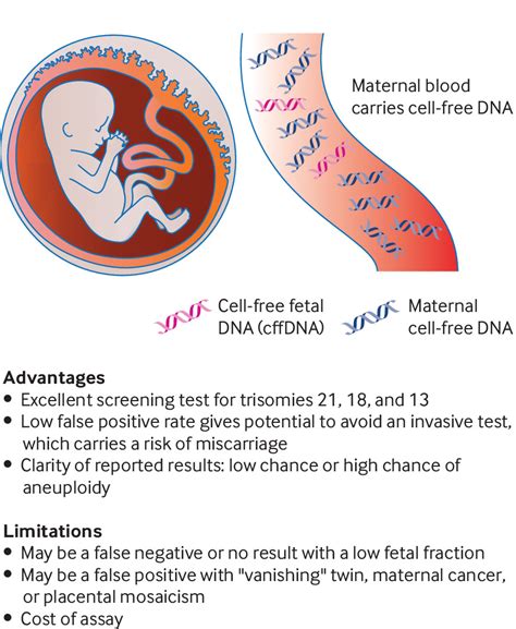 Non Invasive Prenatal Testing For Aneuploidy Screening The Bmj