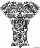 Zentangle Coloring Pages Elephant Easy Adults Printable Print Color Getcolorings Puzzle Getdrawings Colorings Totally Categories Paper sketch template
