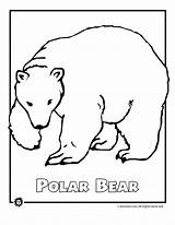 Polar Bear Coloring Pages Animals Arctic Endangered Color Kids Printable Animal Sheets Print Template Alaska Bears Cartoon Species Templates Sheet sketch template