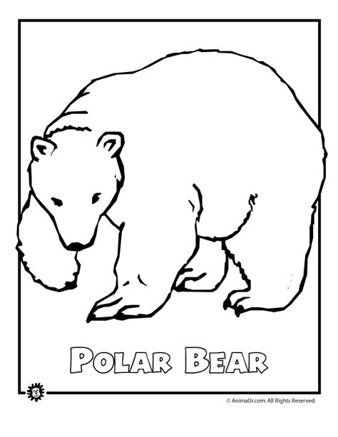 arctic coloring sheets coloring pages