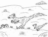 Robin Coloring Pages Great Velociraptor sketch template