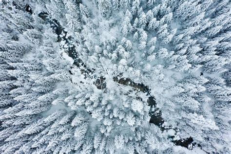 winter forest aerial view snowy und eisiger wald von oben weie